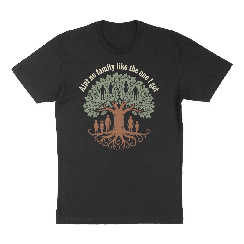 Custom t-shirt: "Aint no family like the one I got", black shirt