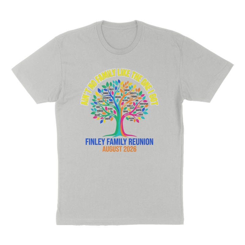 Custom t-shirt: "AIN'T NO FAMILY LIKE THE ONE I GOT ", Front print, heather-gray shirt